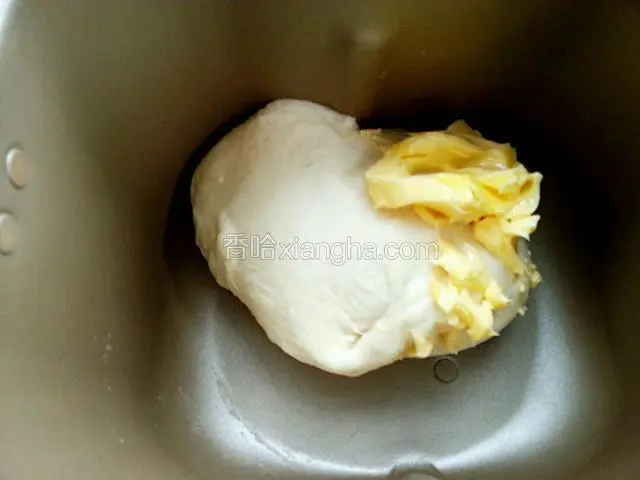 加入室温的黄油继续揉面三十分钟