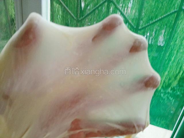 形成手套膜