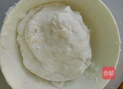 水晶饺的做法图解5