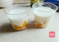 酸奶冰激凌的做法图解3