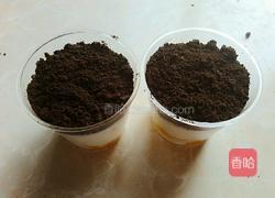 盆栽冰淇淋的做法图解6