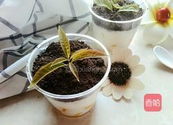 盆栽冰淇淋的做法图解7