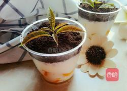 盆栽冰淇淋的做法图解8