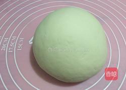 香菇猪肉饺子的做法图解3