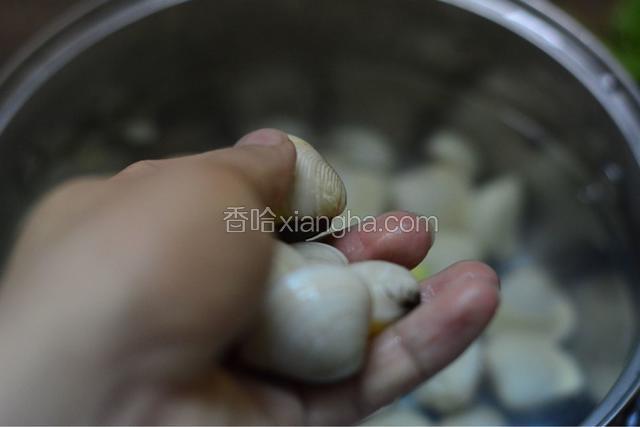 汤水烧沸后将蛤蜊放入煮开。