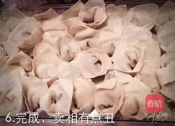 Illustration of how to make wontons 5