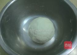 胡萝卜素馅水饺的做法图解2