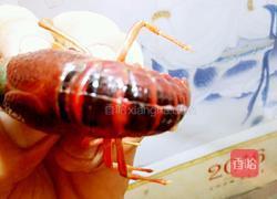 蒜泥龙虾的做法图解3