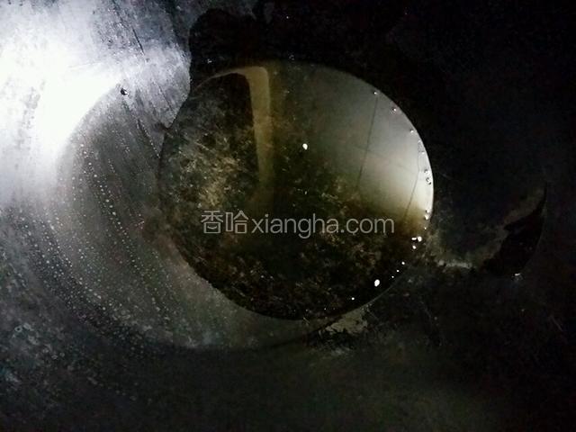 锅洗净上炉，加十克色拉油，小火烧三成热