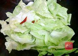 酸辣包菜的做法图解7