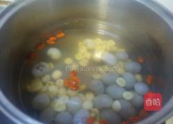 桂圆莲子汤的做法图解5