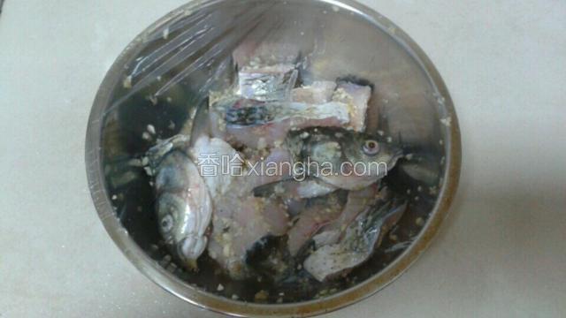再封上保鲜膜，放入冰箱冷藏一晚（或是一下午），腌制入味。