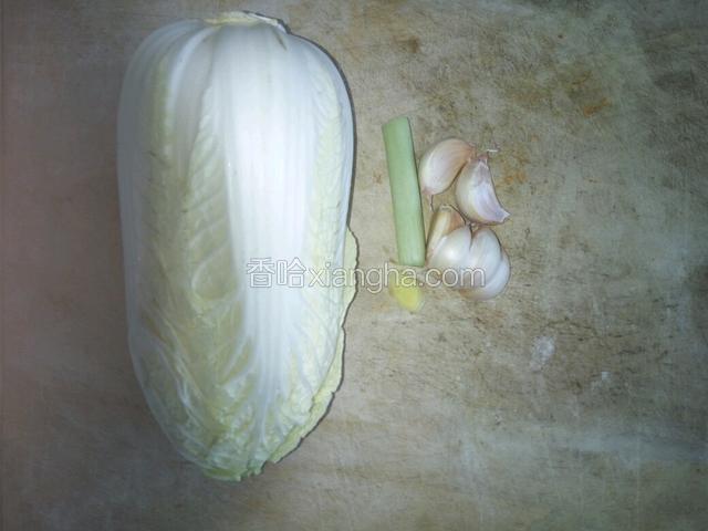 准备娃娃菜一个，葱一段，姜一片，蒜六瓣