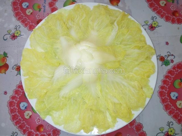 娃娃菜均匀的摆放在盘里