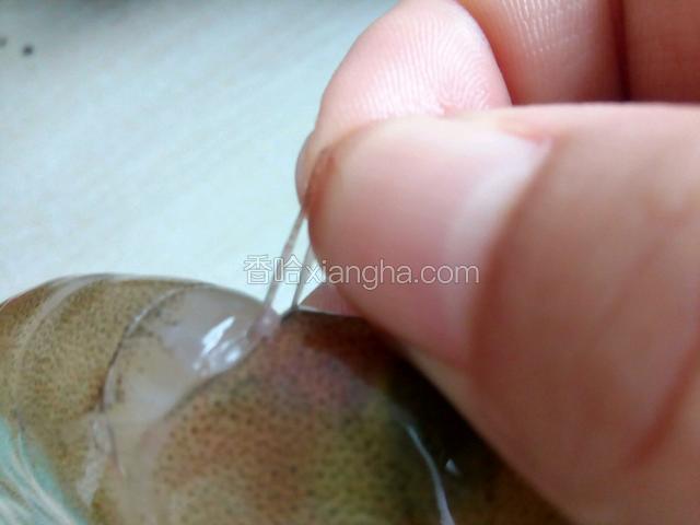 左手抓虾，用右手斜捏虾头处，用食指和拇指捏出虾线，轻轻拉出，这种方法适合活虾