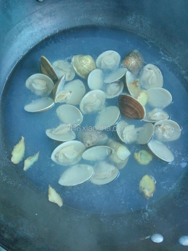 文蛤清洗干净，加入盐，生姜，料酒用水煮开口