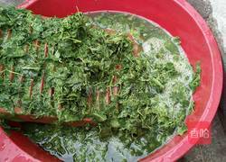 神仙豆腐的做法图解4