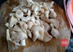 素炒平菇的做法图解2