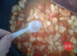 番茄土豆汤的做法图解11