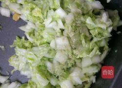 白菜素馅儿饺子的做法图解5