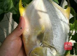 干烧金鲳鱼的做法图解1