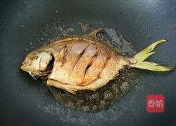 干烧金鲳鱼的做法图解7