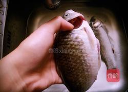 麻辣鲫鱼的做法图解1