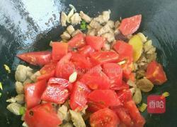 牛肉炖柿子的做法图解7