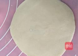 虾仁水饺的做法图解6