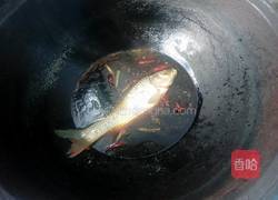 铁锅炖鱼的做法图解6