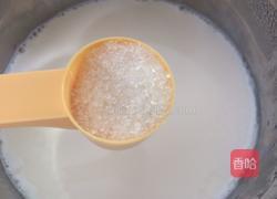 木瓜酸奶的做法图解5