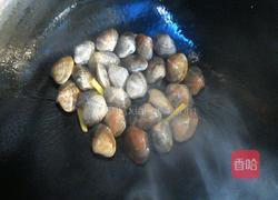 麻辣花蛤的做法图解4