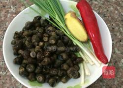 爆炒指甲螺的做法图解1