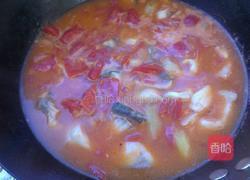 番茄鱼片的做法图解9