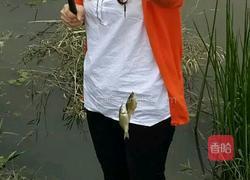 五味鱼的做法图解1