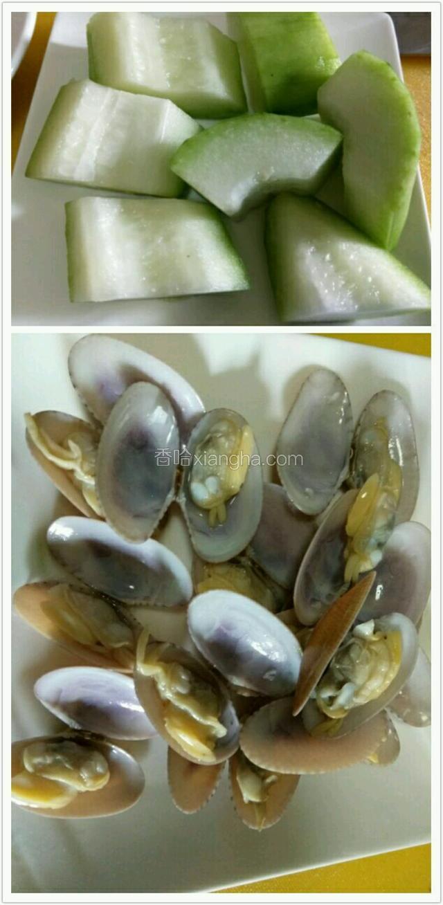 冬瓜去皮，去瓤，切块，蛤蜊过滚水，洗干净