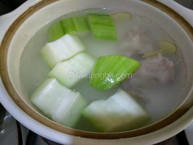 龙骨煲一个钟后加入冬瓜，再煲一个钟