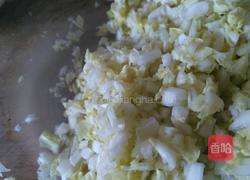 白菜木耳饺子的做法图解3