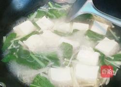 小白菜豆腐汤的做法图解6