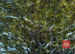 风味金针菇寿司的做法图解5