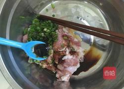 红烧肉丸子（狮子头）的做法图解2