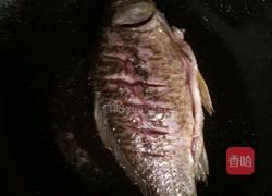 清煮鲫鱼汤的做法图解3