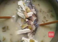 清煮鲫鱼汤的做法图解5