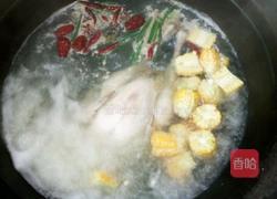炖鸡汤的做法图解4