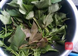 炒红薯叶的做法图解1