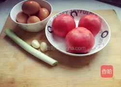番茄炒西红柿的做法图解1