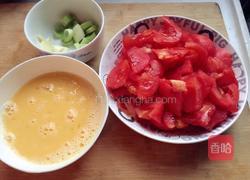 番茄炒西红柿的做法图解4