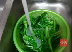 蚝油油麦菜的做法图解4