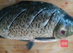 鲫鱼汤的做法图解1