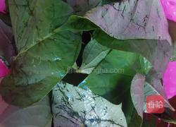 红薯叶饼的做法图解1